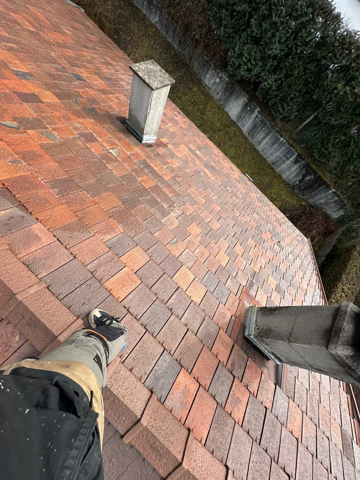 Démoussage et application de résine