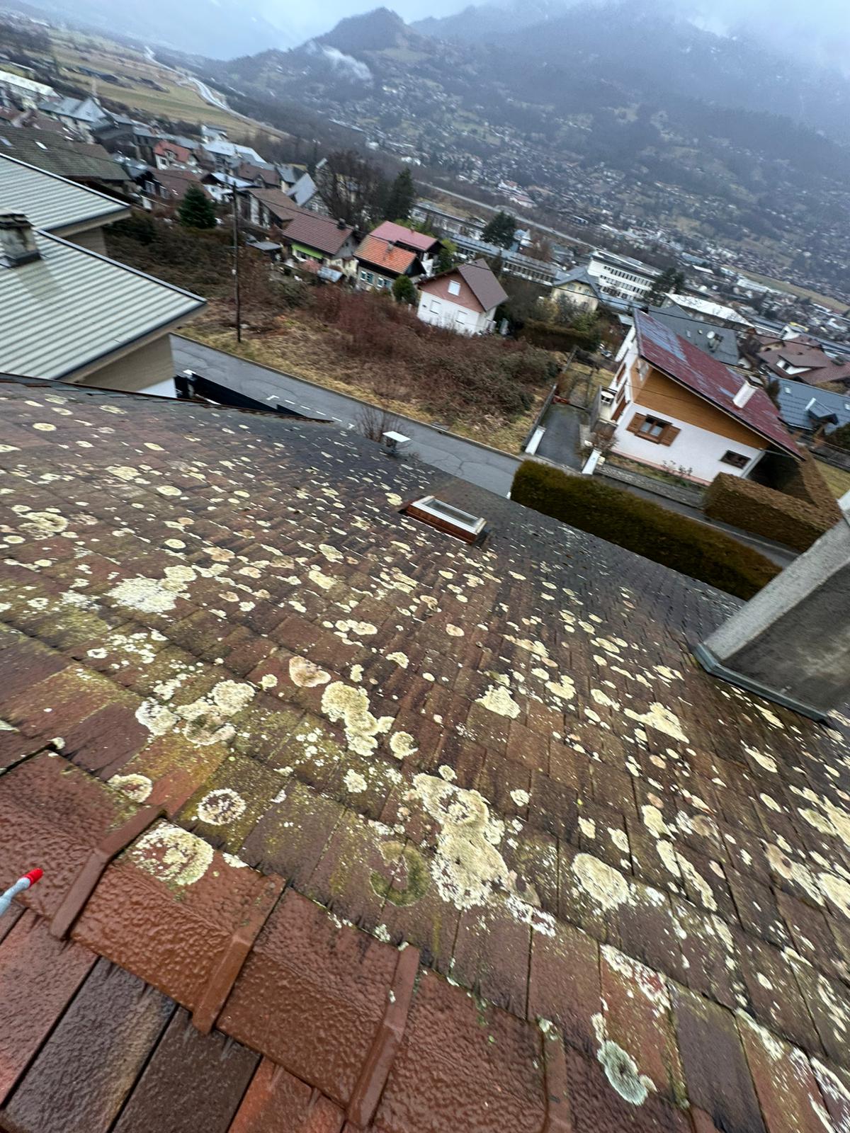 Avant les travaux de démoussage et nettoyage